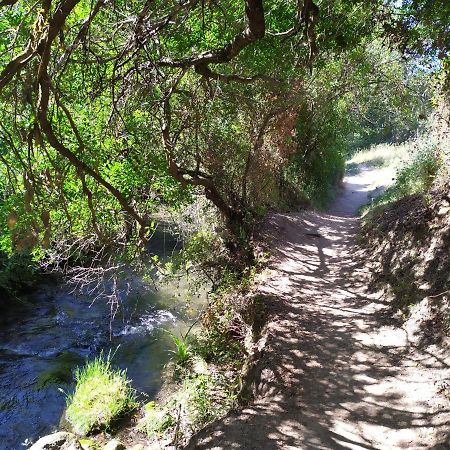 Vivienda Majaceite Διαμέρισμα El Bosque Εξωτερικό φωτογραφία