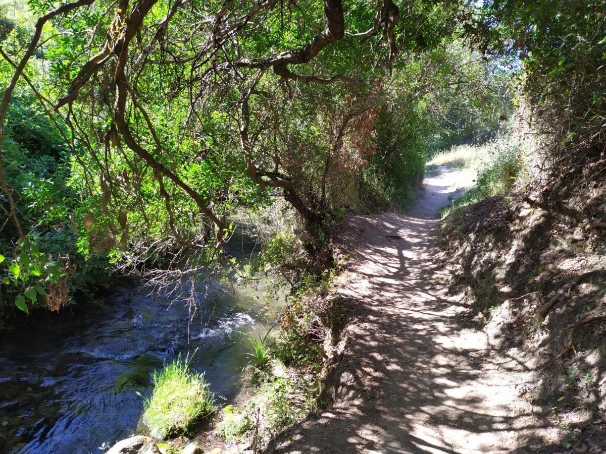Vivienda Majaceite Διαμέρισμα El Bosque Εξωτερικό φωτογραφία