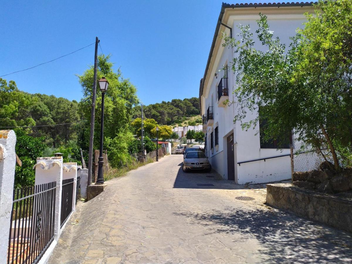 Vivienda Majaceite Διαμέρισμα El Bosque Εξωτερικό φωτογραφία