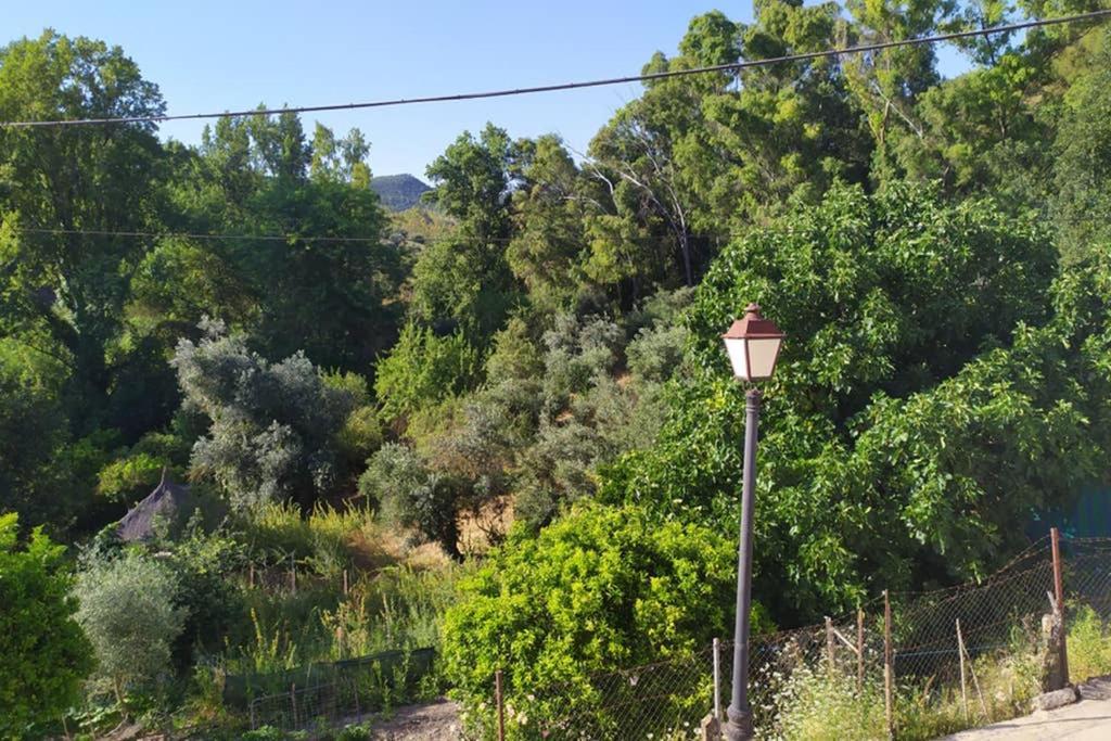 Vivienda Majaceite Διαμέρισμα El Bosque Εξωτερικό φωτογραφία