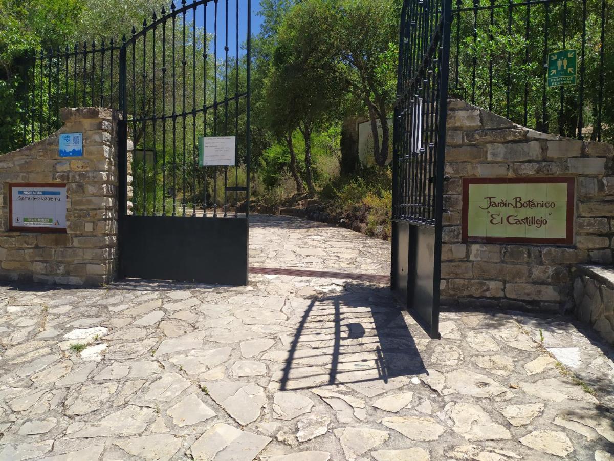Vivienda Majaceite Διαμέρισμα El Bosque Εξωτερικό φωτογραφία