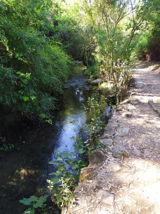 Vivienda Majaceite Διαμέρισμα El Bosque Εξωτερικό φωτογραφία